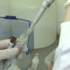 Bahia tem 640 casos de coronavírus e 21 mortes confirmadas no estado.