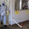 Coronavírus na Bahia tem 1.645 casos confirmados em 103 municípios e 53 mortes.