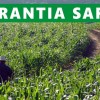 Secretaria Municipal de Agricultura divulga lista de produtores beneficiados que n?o sacaram parcela do Garantia Safra e