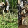 Moto roubada em Guanambi ? apreendida pela PM na cidade de Sebasti?o Laranjeiras.