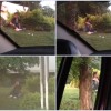 Estudante de Medicina de Riacho de Santana que estava desaparecido é achado em cidade Mineira.