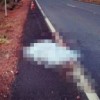 Homem ? encontrado morto ?s margens da BR-122 em Urandi.