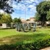 Moradores reclamam de remoção de plantas da Praça Manoel Novais, responsável explica motivo.