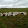 Raio mata 51 cabeças de gado no interior do Tocantins.