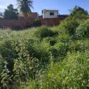 Moradores de Guanambi denunciam acúmulo de mato e lixo em lotes.
