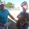 Primeira semana de vacina??o antirr?bica imunizou 3.400 c?es e gatos em Guanambi. Neste s?bado (21), ter? mais um ?Dia D