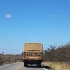Den?ncia: motoristas param transportes escolar por falta de pagamento em Caetit?.