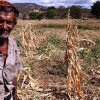 Resolu??o autoriza que bancos renegociem d?vidas de produtores rurais atingidos pela seca.