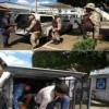 Pol?cia apreende 12 p?s de maconha em Lic?nio de Almeida.