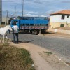 Mais de 300 animais j? foram recolhidos em 15 meses; Superintend?ncia de Tr?nsito de Guanambi realiza mais uma opera??o 