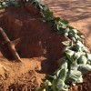 COMUNICADO - Secretaria de Agricultura e Meio Ambiente.