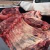 BR-030: Adab de Guanambi realiza apreensão de carne irregular.