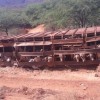 Carreta carregada com bois tomba na BR-122 em Urandi.