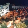 Lagoa Real-BA: Caminh?o carregado de tomate tomba e deixa motorista ferido na BR-030.