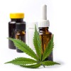Anvisa aprova registro e produção de remédios à base de cannabis.