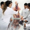 Alunos da área de saúde com formatura antecipada não terão que atuar na pandemia.