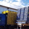 Dois caminhões são apreendidos com aves transportadas irregularmente em Guanambi.