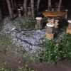 Chuva de granizo é registrada na zona rural de Caetité. Casas tiveram telhados danificados.
