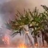 Incêndio atinge área do Projeto Formoso em Bom Jesus da Lapa.