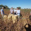 Abapa pretende levar projeto de certifica??o sustent?vel para pequenos produtores de algod?o do sudoeste baiano.