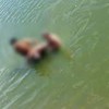 Candiba: Homem morre afogado em lagoa.