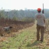 Aprovada em mais uma comiss?o da C?mara licen?a do porte rural de arma.