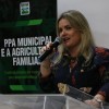 Ivana Bastos participa de oficina com foco no PPA 2018-2021 e na Agricultura Familiar.