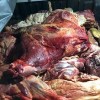 Caetité: ADAB apreende 731 kg de carne em Maniaçu.