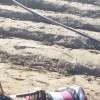 Identificado homem morto a tiros na zona rural de Malhada.