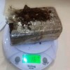 Suspeito de tráfico de drogas é preso em Caetité.