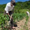 Prazo de inscrição do Seguro Safra é prorrogado em Guanambi.