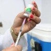 Guanambi recebe mais 1.430 vacinas contra a Covid-19.