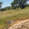 Homem é encontrado morto na zona rural de Guanambi.