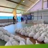 Prefeitura de Urandi distribui Kit’s de Alimentação Escolar.