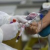 Hemoba promove Semana Nacional do Doador Voluntário de Sangue.