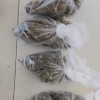 Polícia Militar prende traficante de drogas em Igaporã.