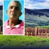 Idoso morre após ataque de abelhas no Sudoeste da Bahia.
