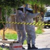 Homem é atacado por enxame de abelhas em Guanambi.