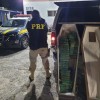 PRF identifica quantidade de crack em caixão funerário.