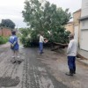 Chuva alaga ruas e faz árvores caírem em Guanambi.