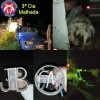 Polícia Militar deflagra para combater furto de gado em Malhada..