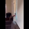 Casa foi alvejada por vários tiros em Guanambi.