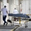 Covid ainda é uma das principais causas de mortes no Brasil.