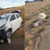 Animal solto provoca acidente na BR-030 em Guanambi.