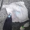 Bebê é internada com sangramento após engolir cocaína.