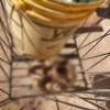Crânio humano é encontrado em lixeira na cidade de Monte Azul.