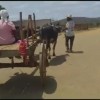 Idosa é transportada em carro de boi na zona rural de Caculé.