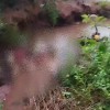 Ossada humana é encontrada em Ibiassucê.