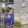 Operação Força Tática da PM resulta em prisão e apreensões de drogas em Guanambi.