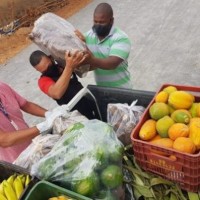 Cooperativa de produtores do projeto de Ceraíma distribui alimentos para entidades filantrópicas. - Foto 1